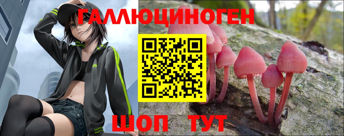 Псилоцибиновые грибы мицелий Вичуга