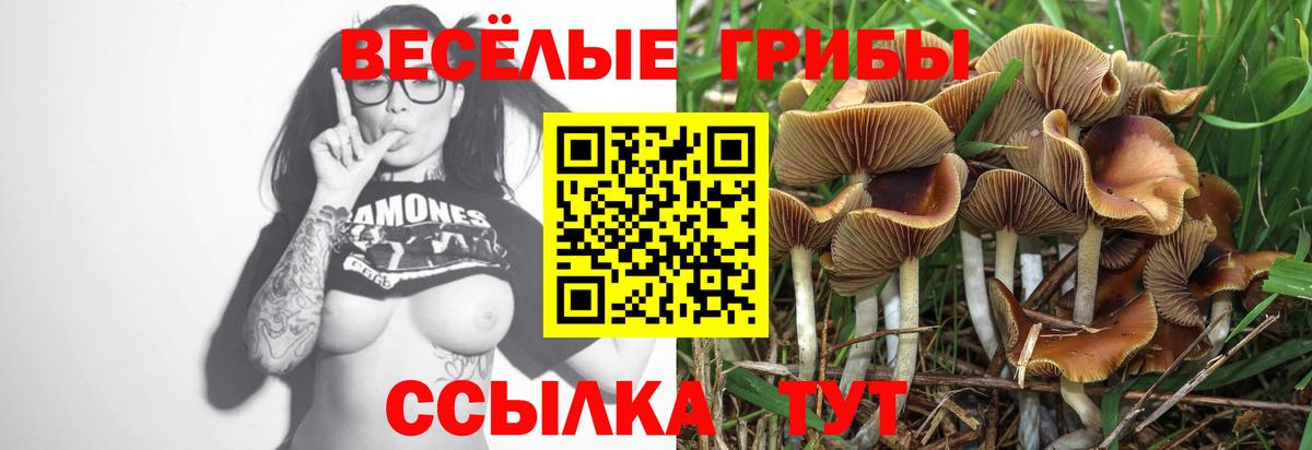 Вичуга  Псилоцибиновые грибы GOLDEN TEACHER  Галлюциногенные грибы MAGIC MUSHROOMS  Вход с VPN 
